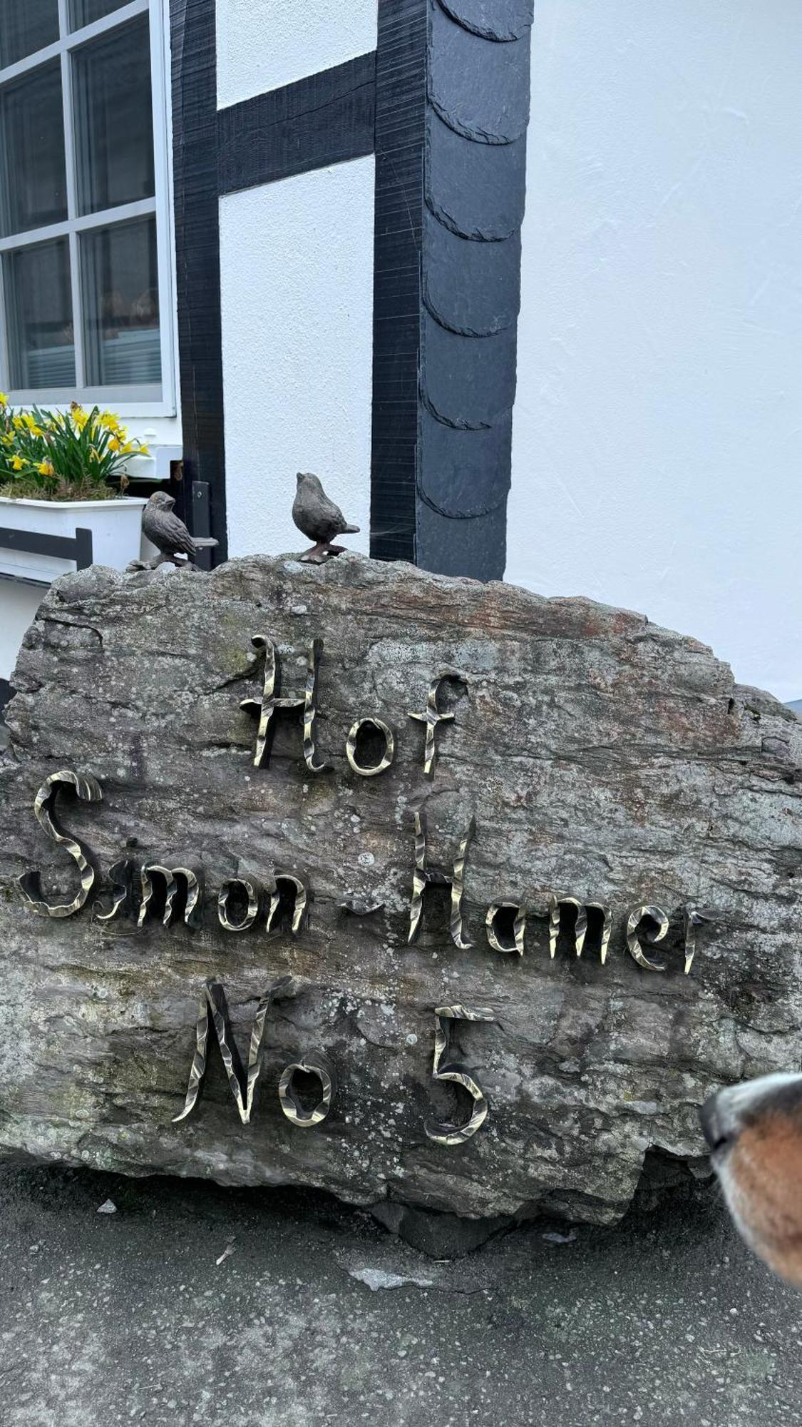 Landferienwohnung Simon Schmallenberg Exteriör bild